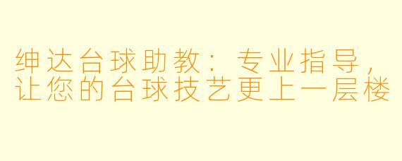 绅达台球助教：专业指导，让您的台球技艺更上一层楼