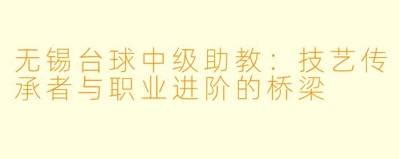 无锡台球中级助教：技艺传承者与职业进阶的桥梁