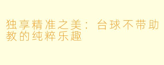 独享精准之美：台球不带助教的纯粹乐趣