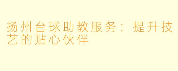扬州台球助教服务：提升技艺的贴心伙伴