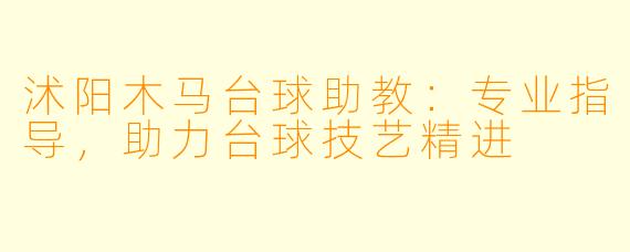 沭阳木马台球助教：专业指导，助力台球技艺精进
