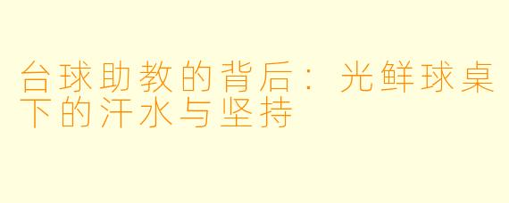 台球助教的背后:光鲜球桌下的汗水与坚持