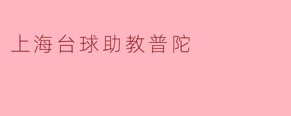 上海台球助教普陀