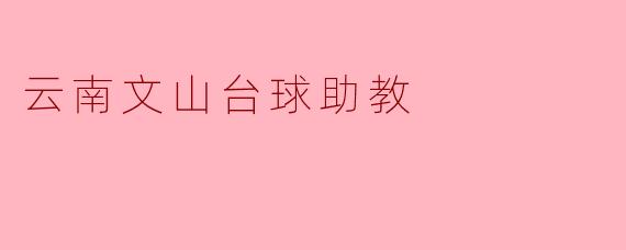 云南文山台球助教