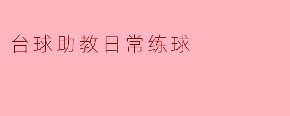 台球助教日常练球