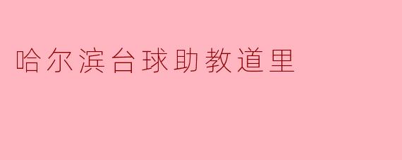 哈尔滨台球助教道里