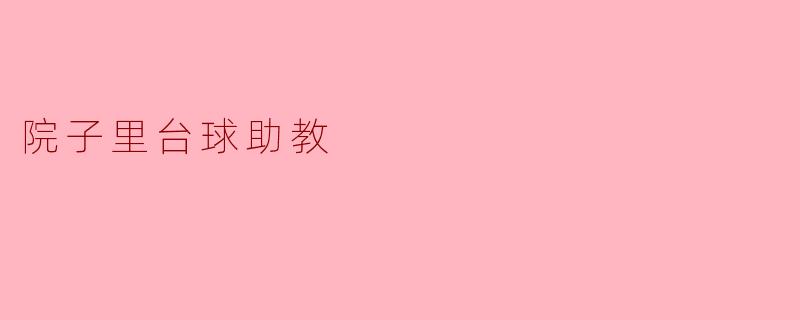 院子里台球助教