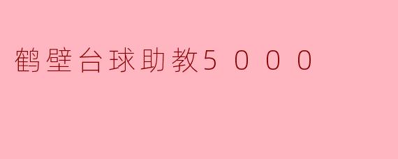 鹤壁台球助教5000