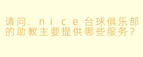 请问.nice台球俱乐部的助教主要提供哪些服务?