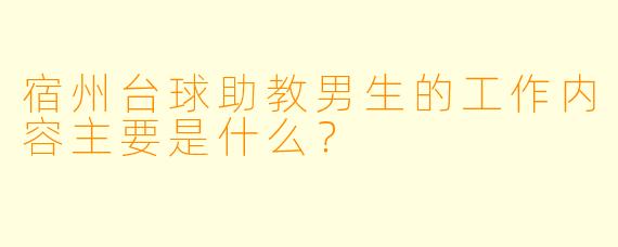 宿州台球助教男生的工作内容主要是什么？