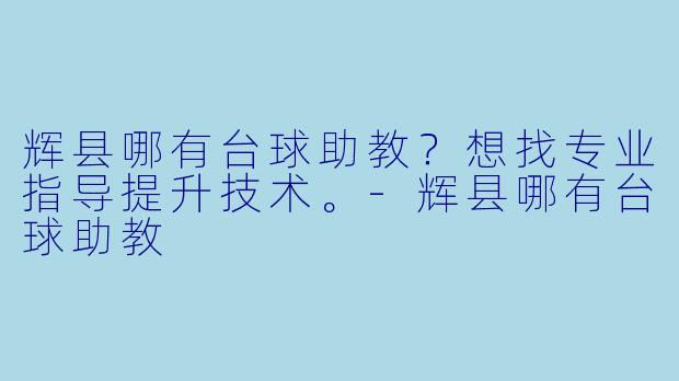 辉县哪有台球助教？想找专业指导提升技术。