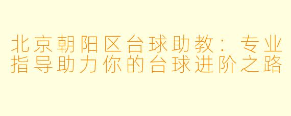 北京朝阳区台球助教：专业指导助力你的台球进阶之路