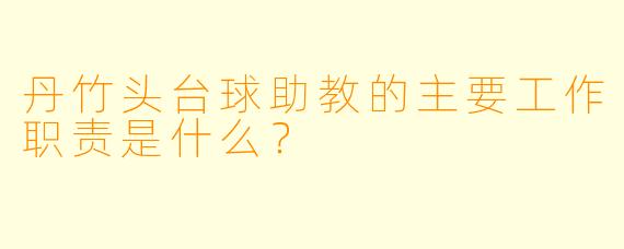 丹竹头台球助教的主要工作职责是什么？