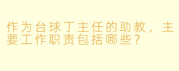 作为台球丁主任的助教，主要工作职责包括哪些？