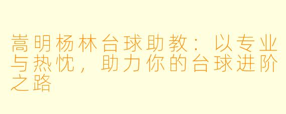嵩明杨林台球助教：以专业与热忱，助力你的台球进阶之路
