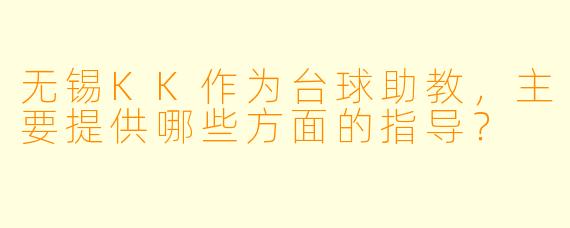 无锡KK作为台球助教，主要提供哪些方面的指导？