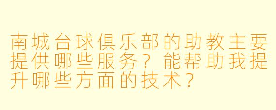 南城台球俱乐部的助教主要提供哪些服务？能帮助我提升哪些方面的技术？