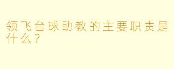 领飞台球助教的主要职责是什么？