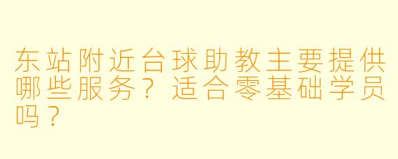 东站附近台球助教主要提供哪些服务?适合零基础学员吗?