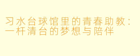 习水台球馆里的青春助教：一杆清台的梦想与陪伴
