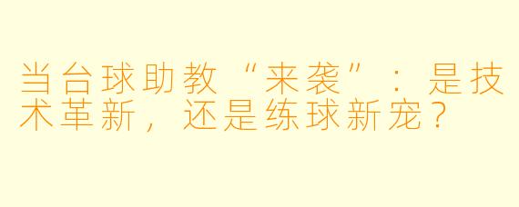 当台球助教“来袭”：是技术革新，还是练球新宠？