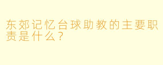 东郊记忆台球助教的主要职责是什么？