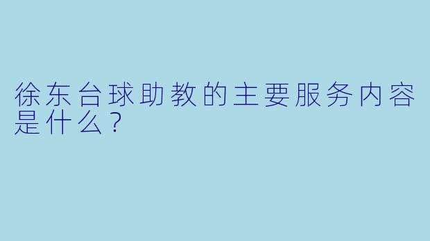 徐东台球助教的主要服务内容是什么？