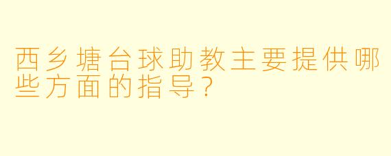 西乡塘台球助教主要提供哪些方面的指导？