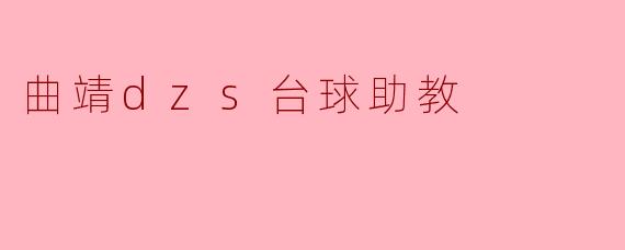 曲靖DZS台球助教的主要工作职责是什么？