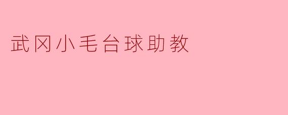 武冈小毛台球助教主要提供哪些服务？
