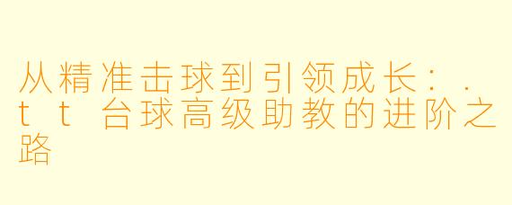 从精准击球到引领成长：.tt台球高级助教的进阶之路