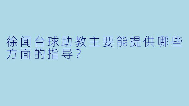 徐闻台球助教主要能提供哪些方面的指导？