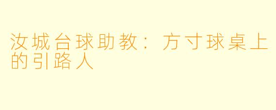汝城台球助教：方寸球桌上的引路人