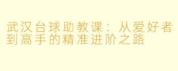 武汉台球助教课:从爱好者到高手的精准进阶之路