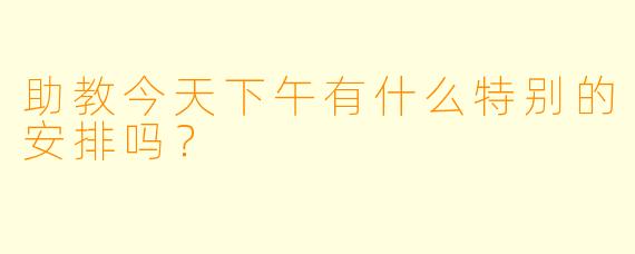 助教今天下午有什么特别的安排吗？