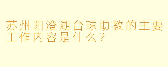苏州阳澄湖台球助教的主要工作内容是什么？