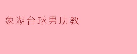 象湖台球男助教