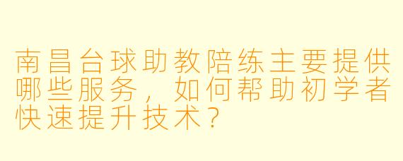 南昌台球助教陪练主要提供哪些服务，如何帮助初学者快速提升技术？