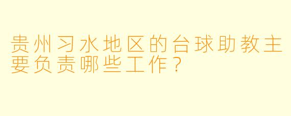 贵州习水地区的台球助教主要负责哪些工作？