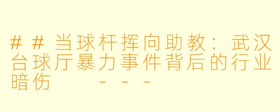 ##当球杆挥向助教：武汉台球厅暴力事件背后的行业暗伤

---