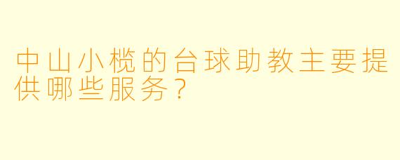 中山小榄的台球助教主要提供哪些服务？