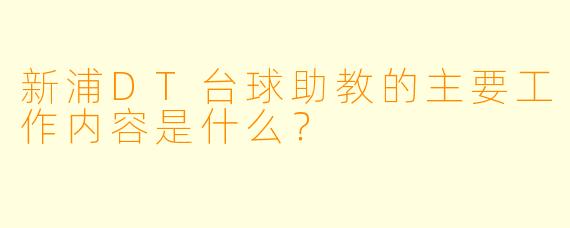新浦DT台球助教的主要工作内容是什么？