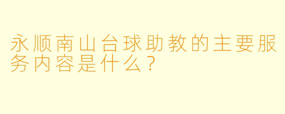 永顺南山台球助教的主要服务内容是什么？