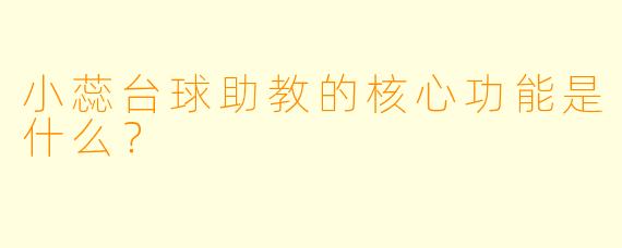 小蕊台球助教的核心功能是什么？