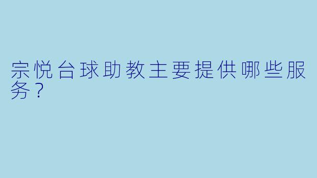 宗悦台球助教主要提供哪些服务?