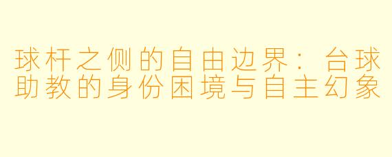 球杆之侧的自由边界：台球助教的身份困境与自主幻象