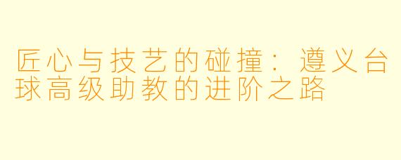 匠心与技艺的碰撞:遵义台球高级助教的进阶之路