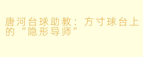 唐河台球助教:方寸球台上的“隐形导师”
