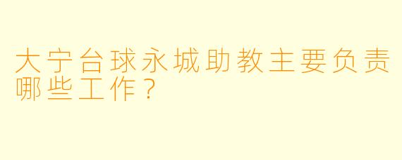 大宁台球永城助教主要负责哪些工作？