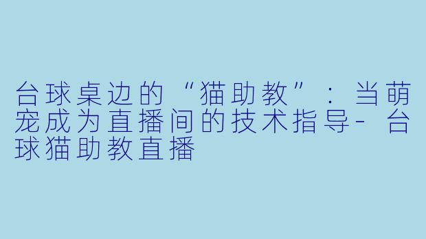 台球桌边的“猫助教”：当萌宠成为直播间的技术指导-台球猫助教直播